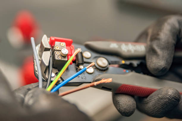 Best Local Electrician Companies  in Eastwood, MI