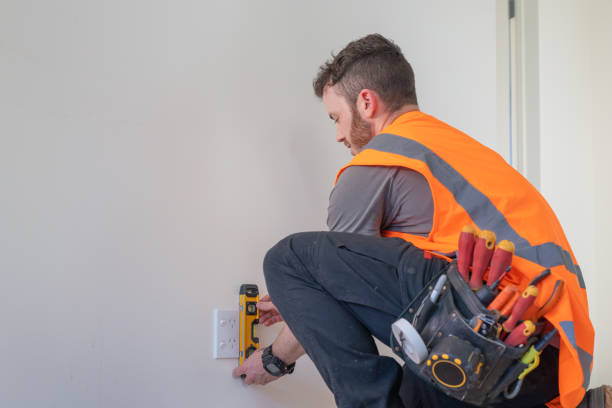 Best Electric Panel Repair  in Eastwood, MI